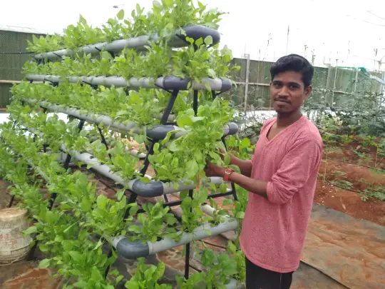 Hydroponics, Aquaponics and precision farming technologies